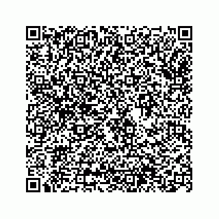 vCard 74963566310