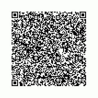 vCard 74963566311