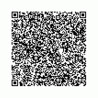 vCard 74963566325