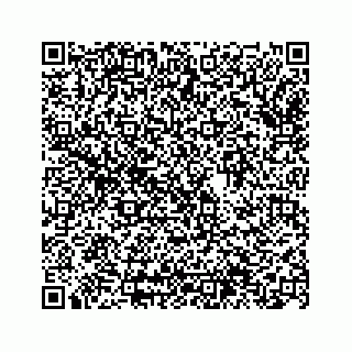 vCard 74963566380