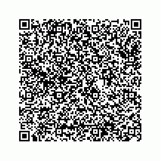 vCard 74963566381