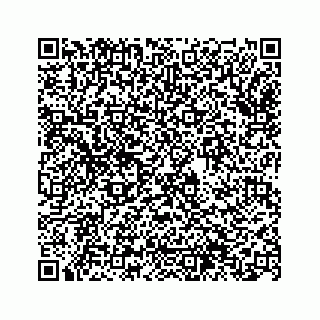 vCard 74963566387