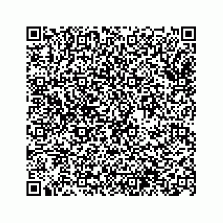 vCard 74963566395