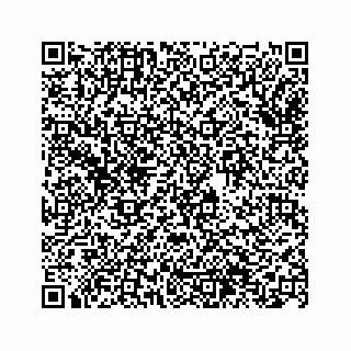 vCard 74963566839