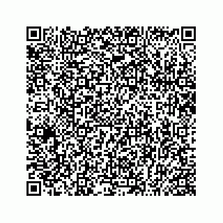 vCard 74963633511