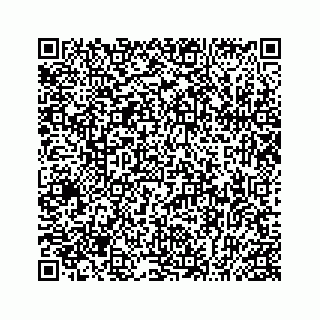 vCard 74963633519