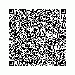 vCard 74963633527