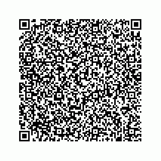 vCard 74963633528