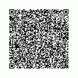 vCard 74963633531