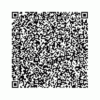 vCard 74963633533