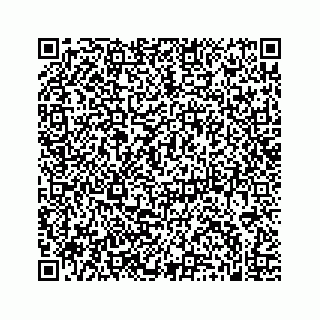 vCard 74963633534