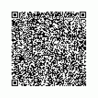 vCard 74963662010