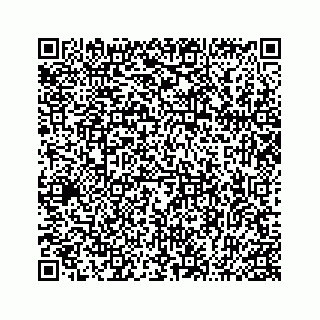 vCard 74963662085