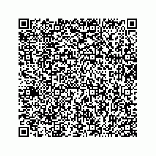 vCard 74963662087