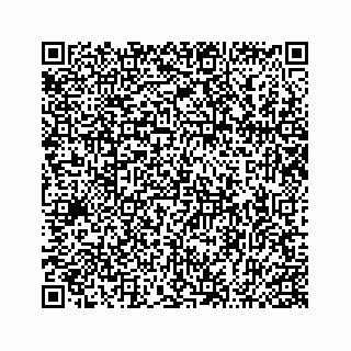 vCard 74963662099