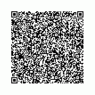 vCard 74963662211