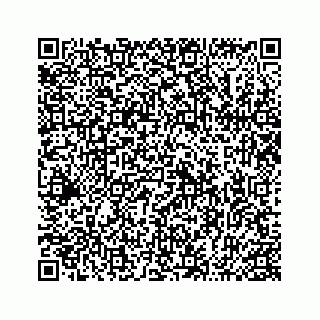 vCard 74963662319