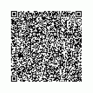 vCard 74963662379
