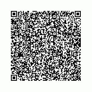 vCard 74963662873