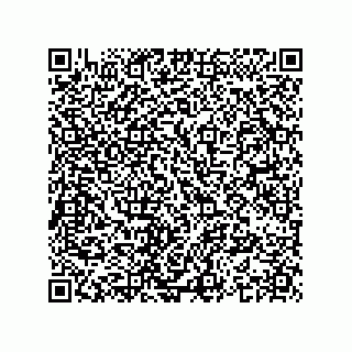 vCard 74963833310