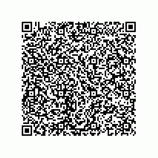vCard 74963833338