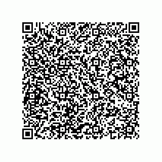 vCard 74963859633