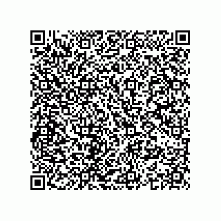 vCard 74963859733