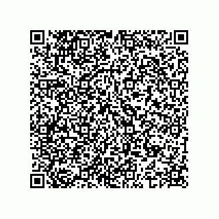 vCard 74963990329