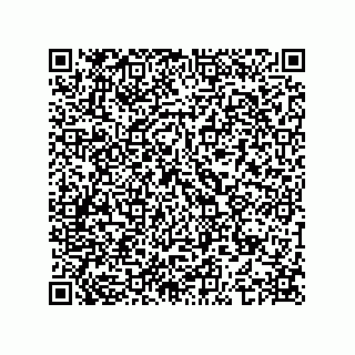 vCard 74963990380