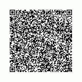 vCard 74964480529