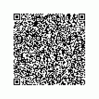 vCard 74965234138