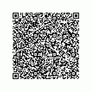vCard 74965234313