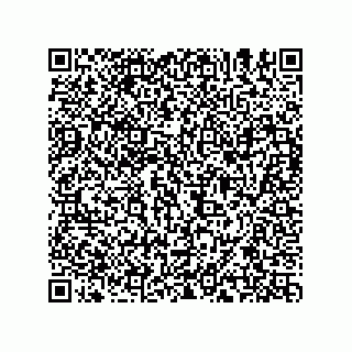 vCard 74965260099