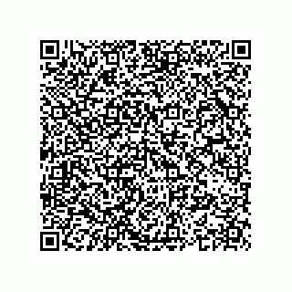 vCard 74965292131