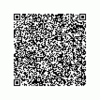 vCard 74965379167