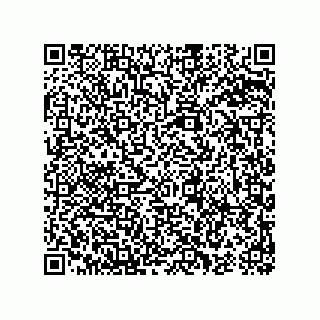vCard 74965379331