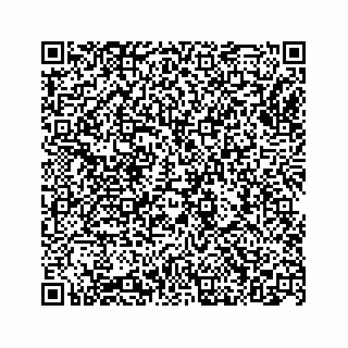 vCard 74965455379