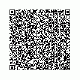 vCard 74965487634
