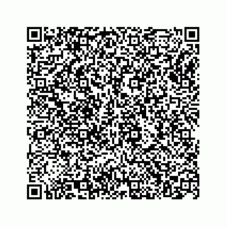 vCard 74965503739