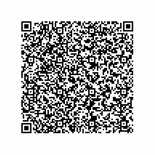 vCard 74965730313
