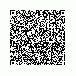 vCard 74966210210