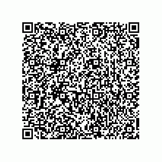 vCard 74966210381