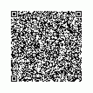 vCard 74966383109