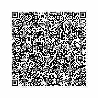 vCard 74966383131