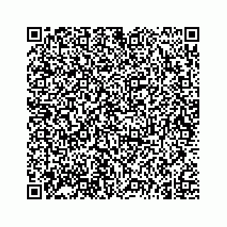 vCard 74966383133