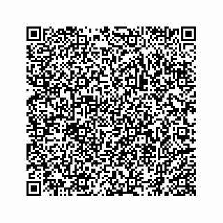 vCard 74966383138