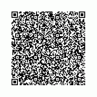 vCard 74966383335
