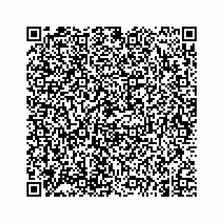 vCard 74966383337