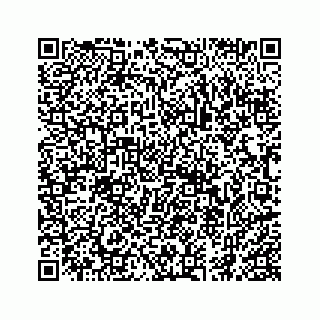 vCard 74966383373