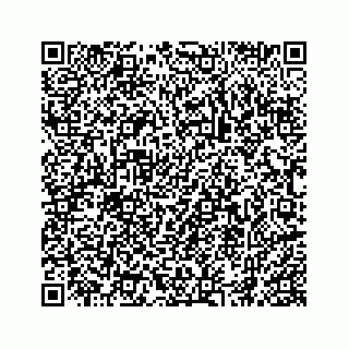 vCard 74966383379